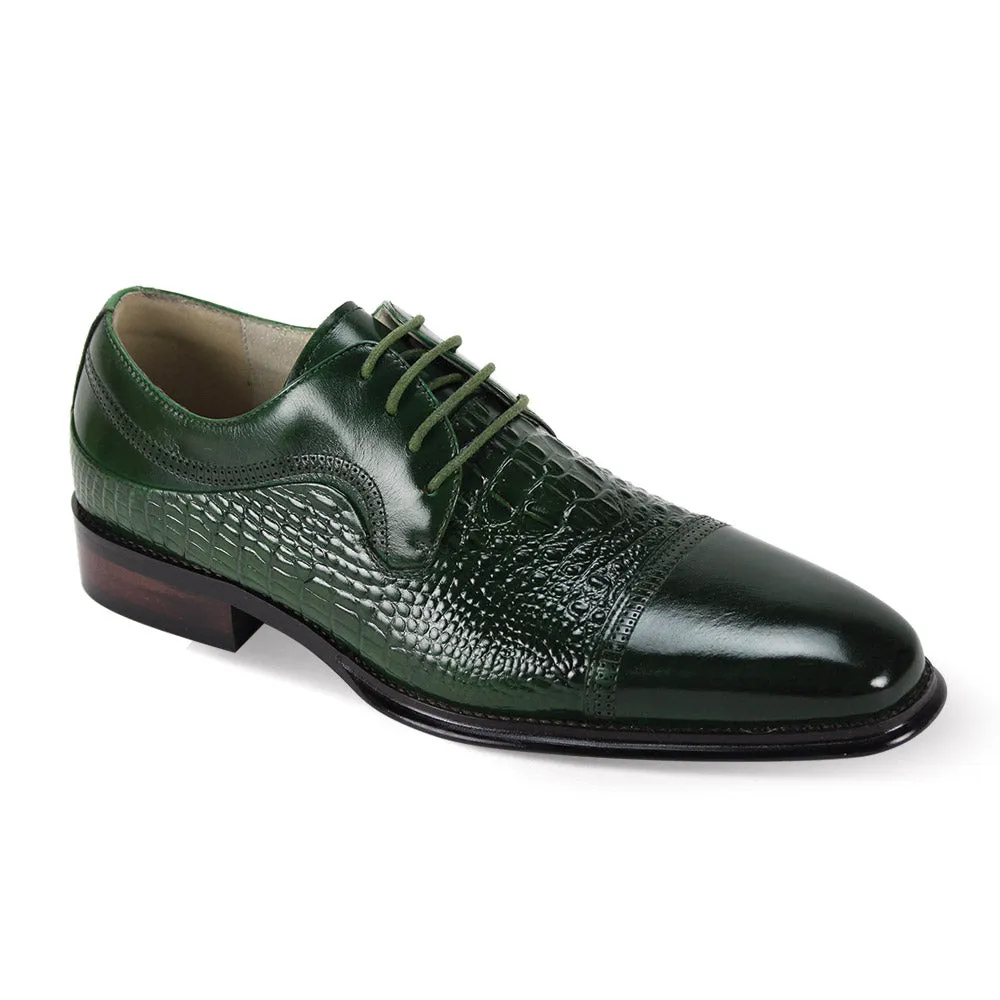 Giovani Cap Toe Lace Up Shoes